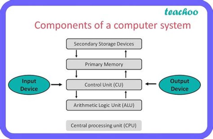 What are the 5 major components of a computer system?