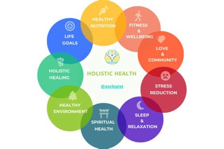 What are the 6 aspects of health?