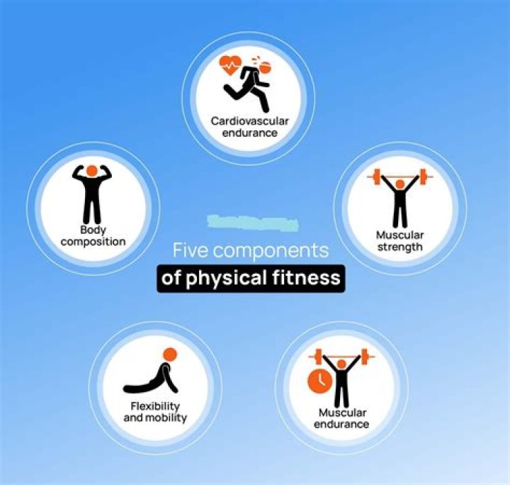 What are the 6 components of physical fitness?