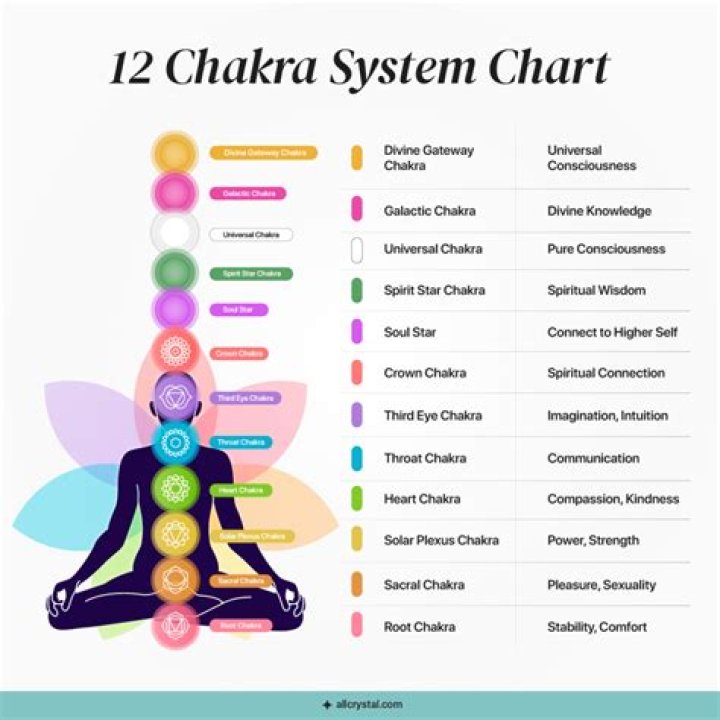 What are the 7 guitar chords?