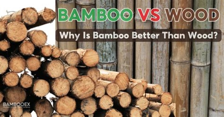 What are the advantages of bamboo flooring?