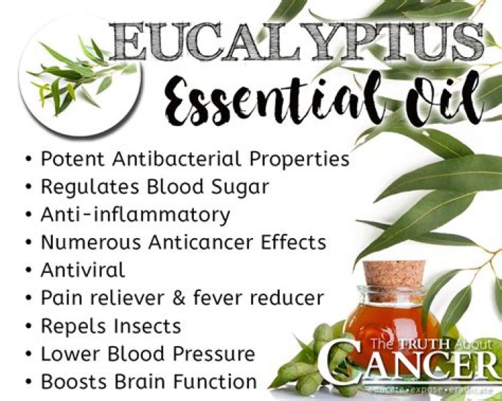 What are the benefits of eucalyptus oil?