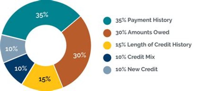 What are the components of credit score?