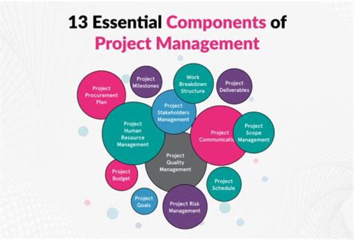 What are the components of project management?