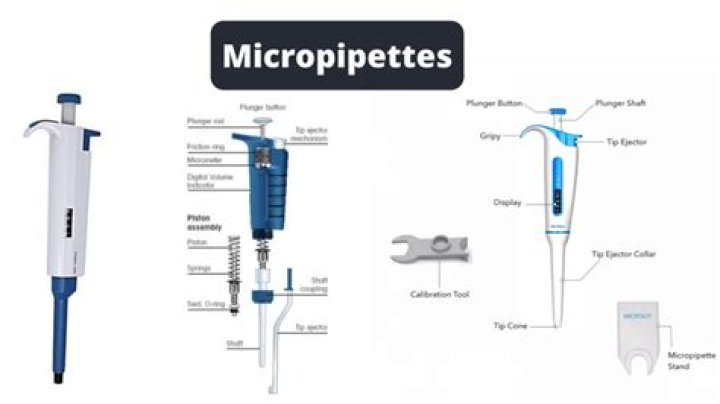 What are the different types of micropipettes?