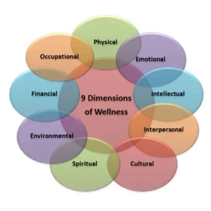 What are the domains of wellness?