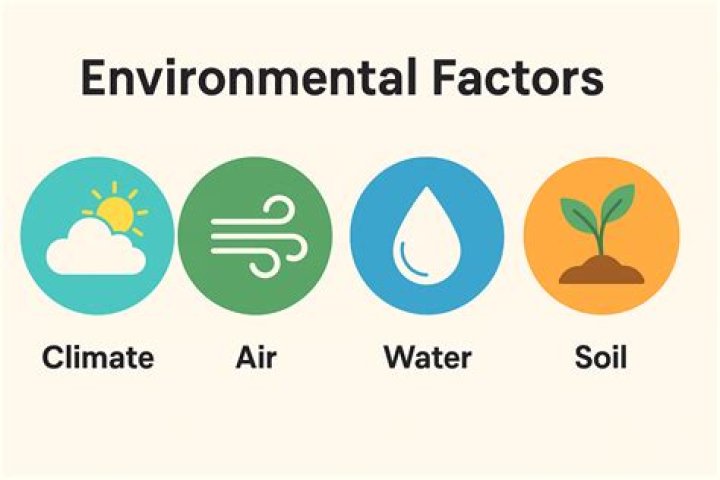 What are the environmental factors affecting entrepreneurship?