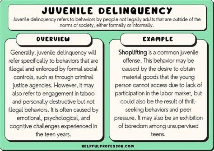What are the examples of juvenile delinquency?