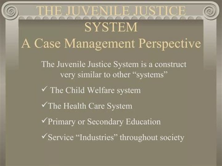 What are the four categories of juvenile offenders?