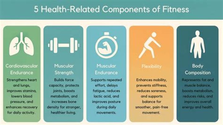 What are the four components of health?