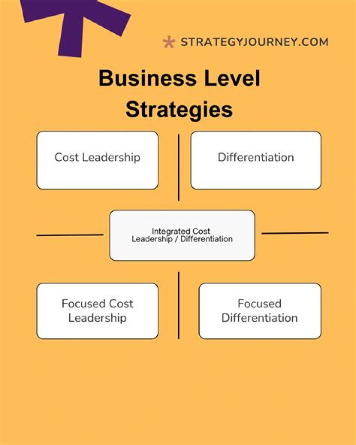 What are the generic business level strategies?
