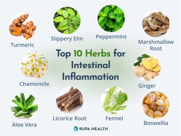 What are the home remedies to increase fertility?