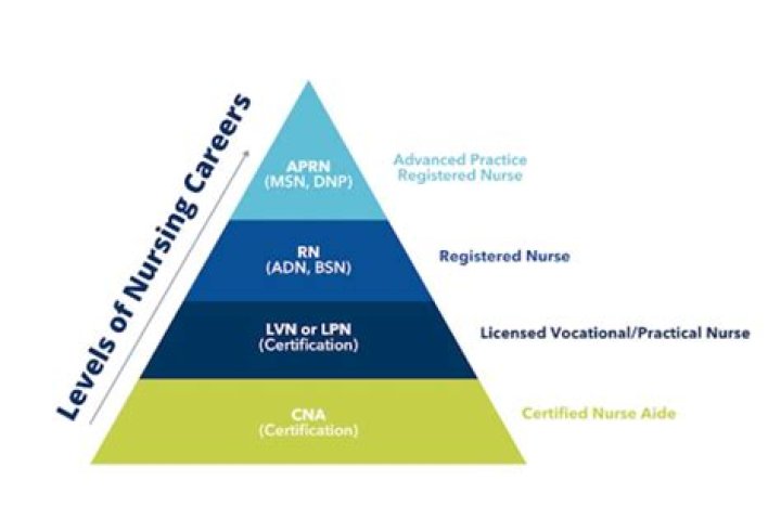 What are the levels of nurses?
