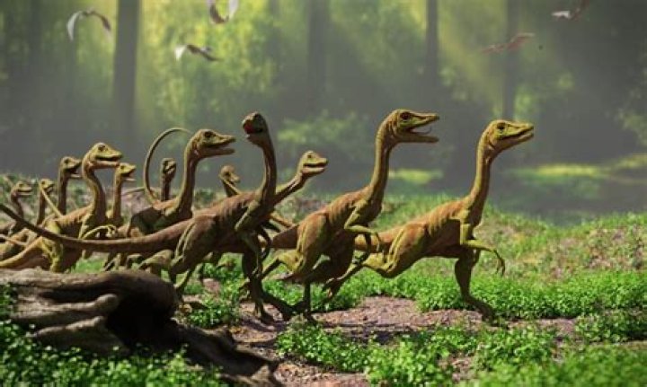 What are the little dinosaurs in Jurassic Park?