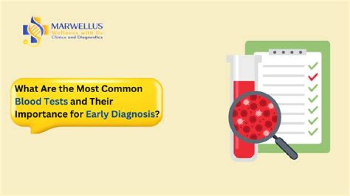 What are the most common blood tests?