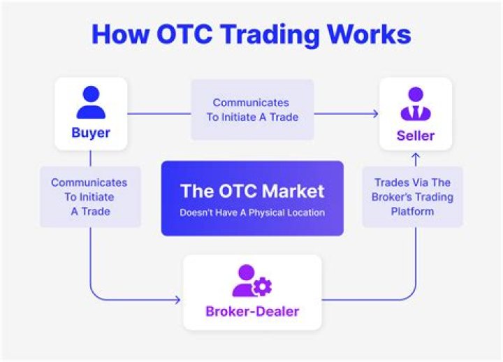 What are the participants of capital market?