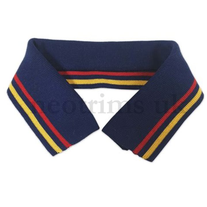 What are the plastic things in shirt collars for?