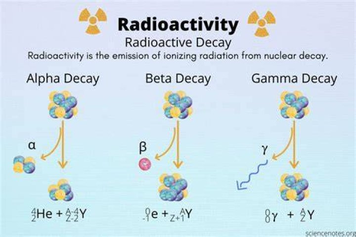 What are the products of radioactive decay?