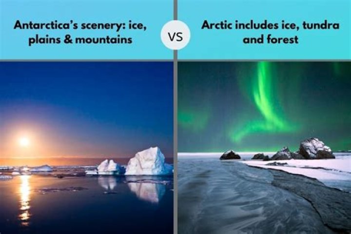 What are the similarities between Arctic and Antarctic?