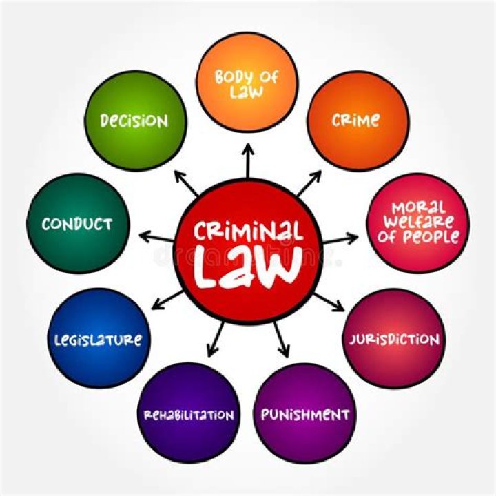 What are the six categories of criminal law violations?