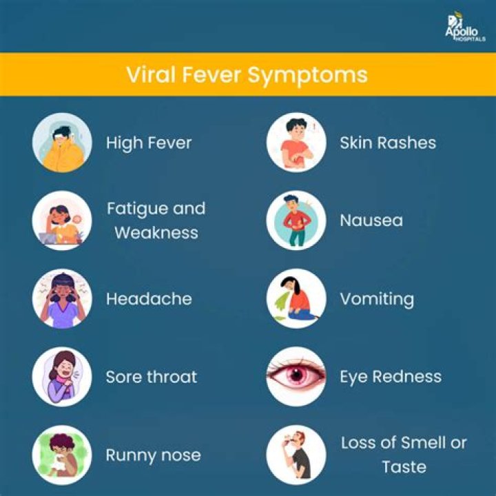 What are the symptoms of first love?