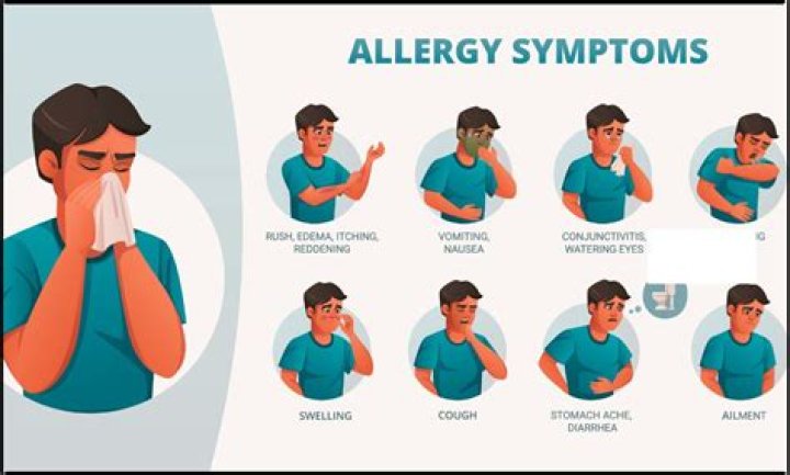 What are the symptoms of honey allergy?