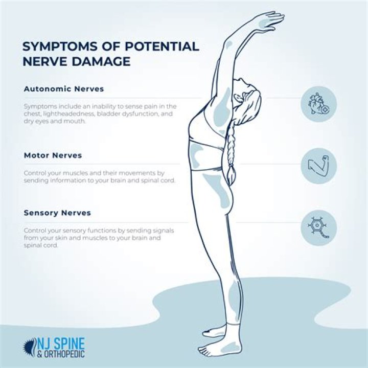 What are the symptoms of nerve damage in the brain?