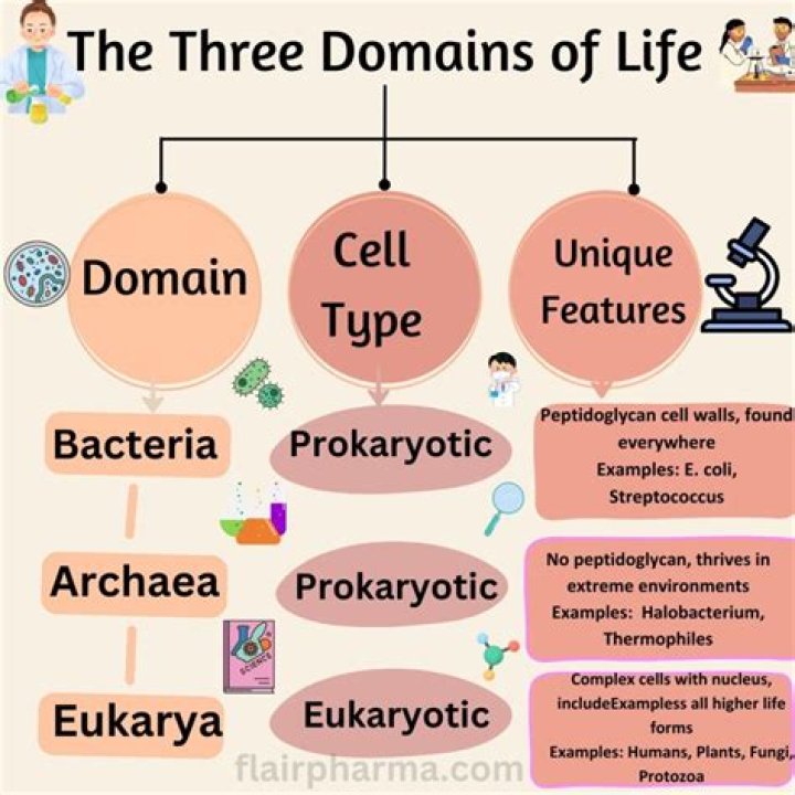 What are the three domains of life and what are their unique characteristics?