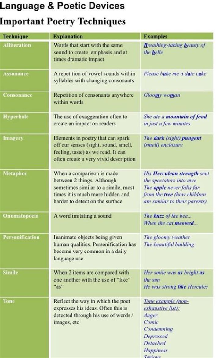 What are the three fundamental uses of language in logic?