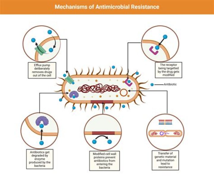 What are the three main mechanisms that can cause changes?