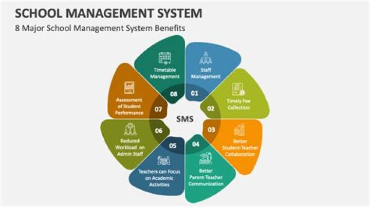 What are the three schools of management?