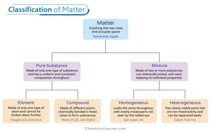 What are the two main classifications of software?
