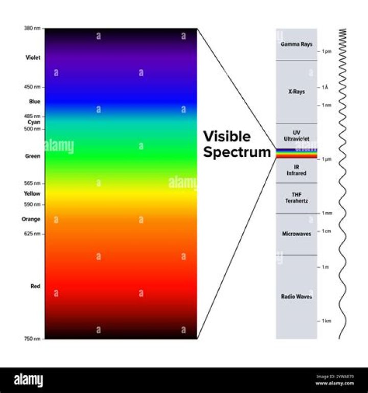 What are the visible wavelengths of light?