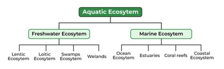 What are three types of aquatic ecosystems?