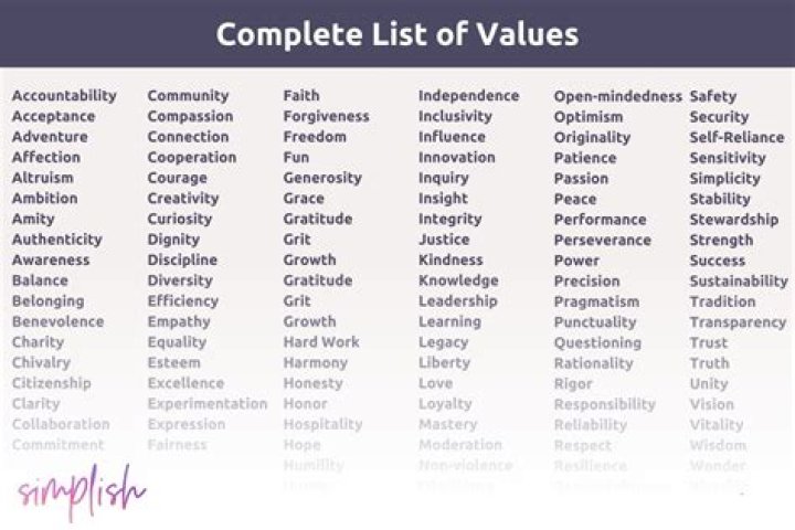 What are values in relation to professionalism?