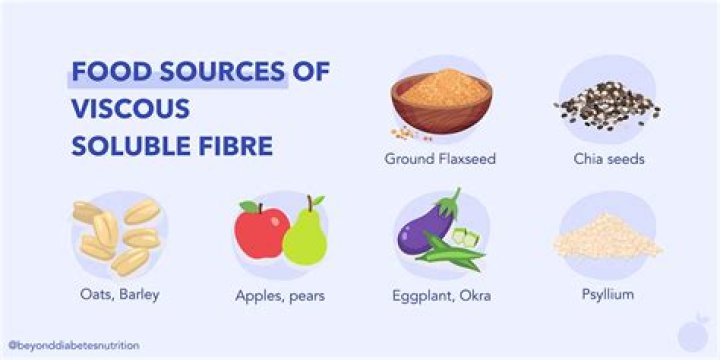 What are viscous fiber foods?