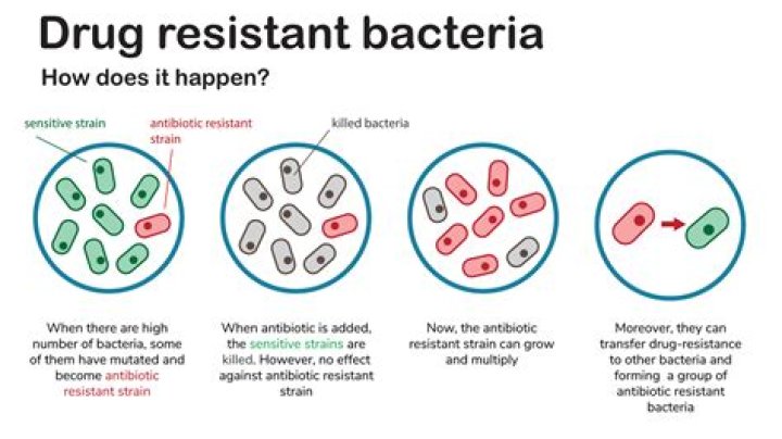 What can be done to reduce antimicrobial resistance?
