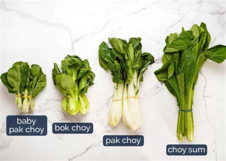 What can I plant next to bok choy?