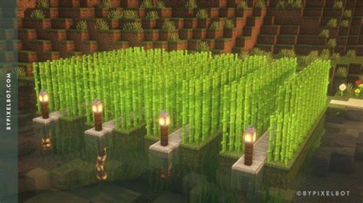 What can Sugarcane be used for in Minecraft?