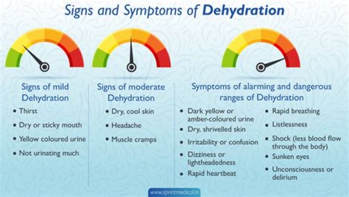 What can you give a dog for dehydration?