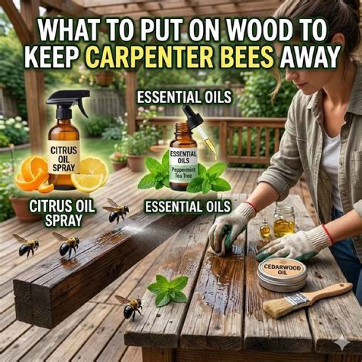 What can you spray on wood to keep carpenter bees away?