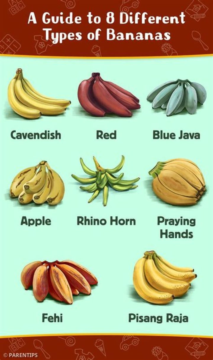 What category of fruit are bananas?
