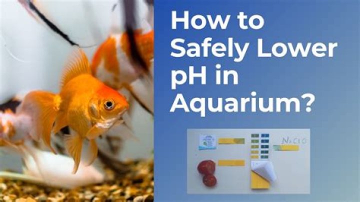 What cause low pH in aquarium?