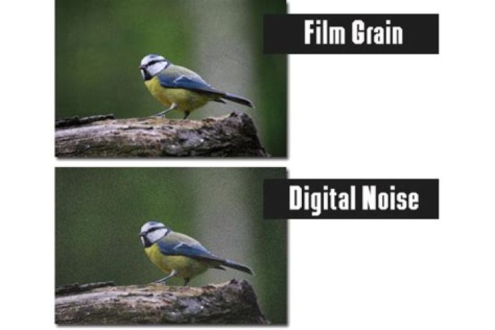 What causes digital noise in photography?