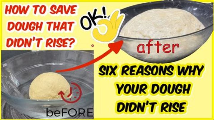 What causes dough to rise?