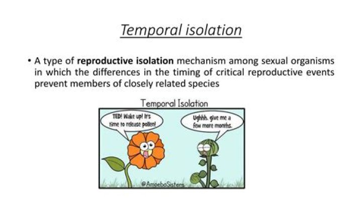What causes temporal isolation?