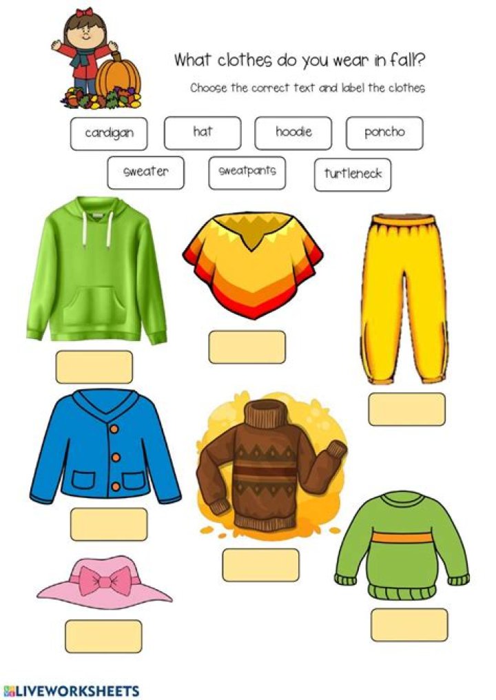 What clothes do you wear in fall?