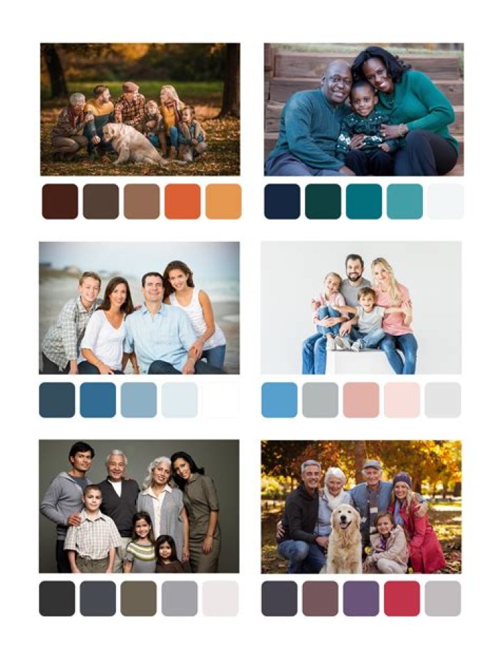 What color family is FIG?