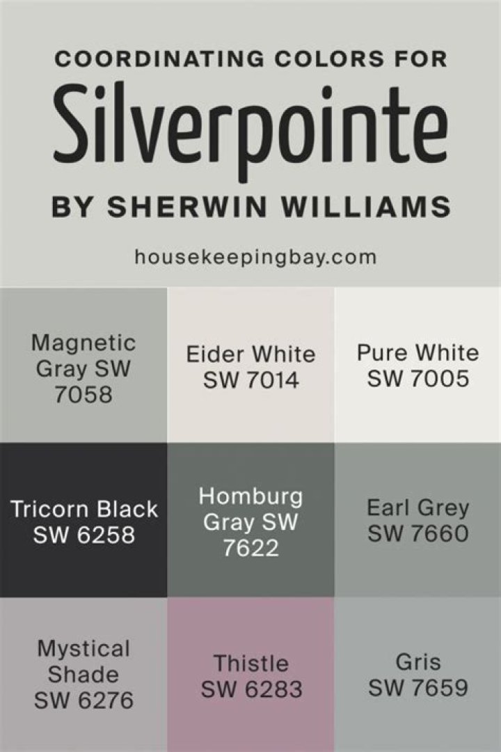 What color is Silverpointe? | ContextResponse.com