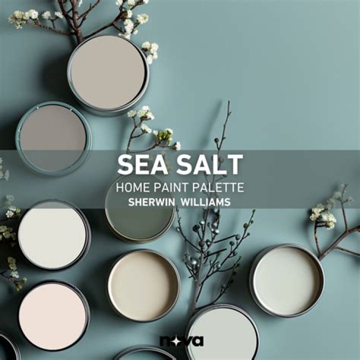 What Colour is Seagreen?